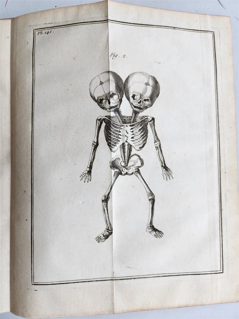 1752 MEDICAL TREATISE ILLUSTRATED ANATOMY by Francois PLANQUE antique V. 7 (1 of 20)