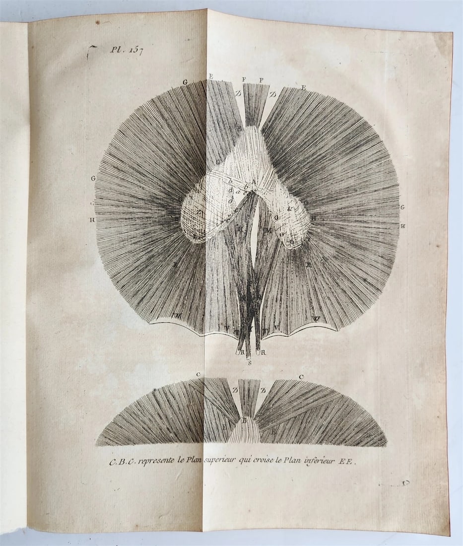 1752 MEDICAL TREATISE ILLUSTRATED ANATOMY by Francois PLANQUE antique V. 7 - 20
