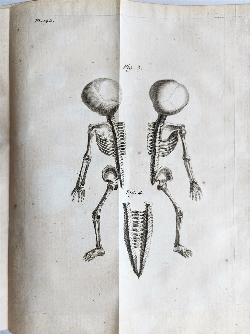 1752 MEDICAL TREATISE ILLUSTRATED ANATOMY by Francois PLANQUE antique V. 7 - 2