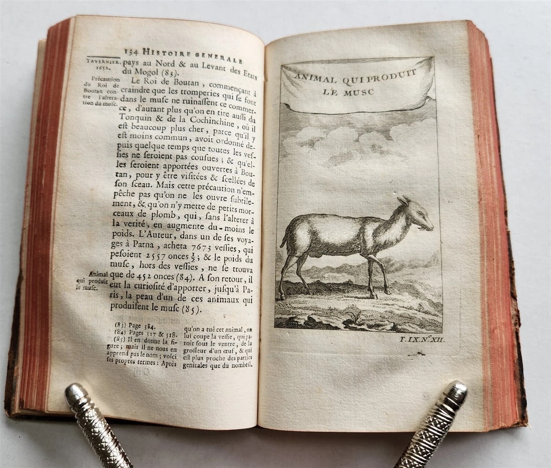 1751 HISTOIRE des VOYAGES VOL. 36 antique illustrated TRAVELS to INDIA - 6