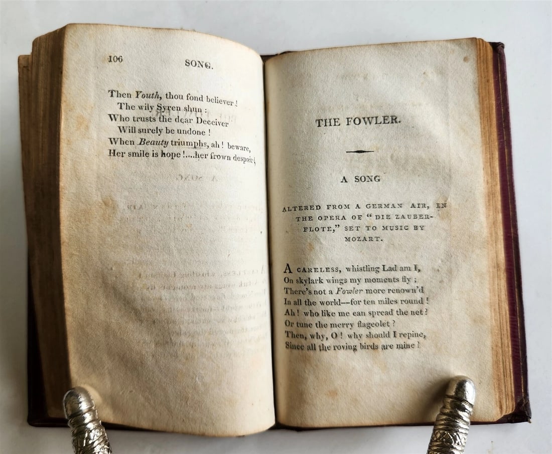 1811 THE WANDERER of SWITZERLAND POEMS by JAMES MONTGOMERY antique AMERICANA - 8