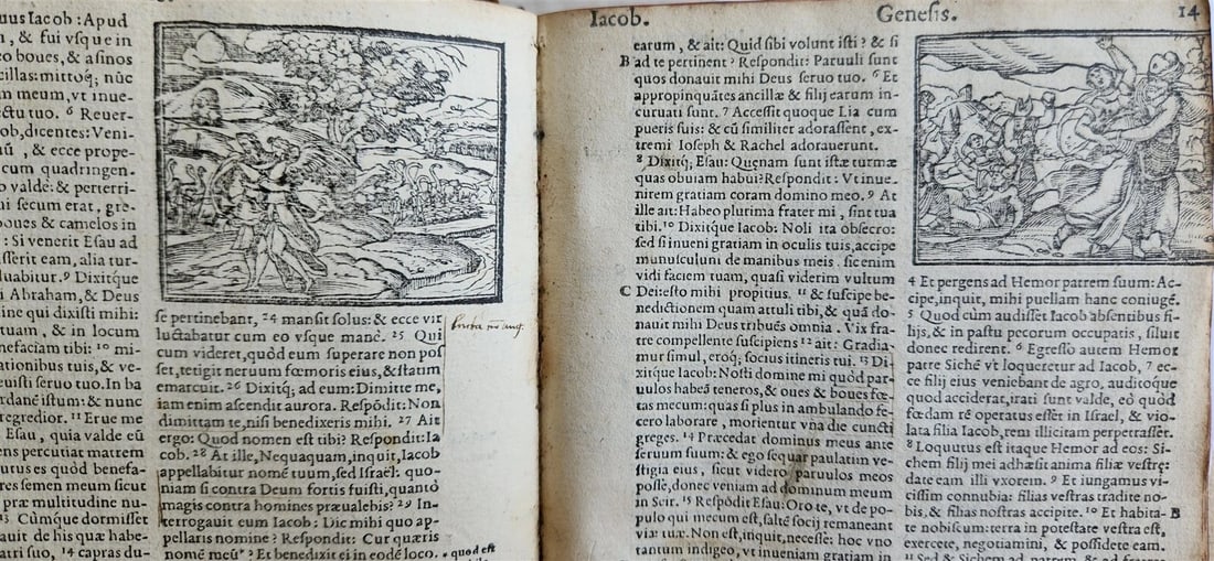 1563 BIBLE in LATIN antique ILLUSTRATED 16th century BIBLIA - 17