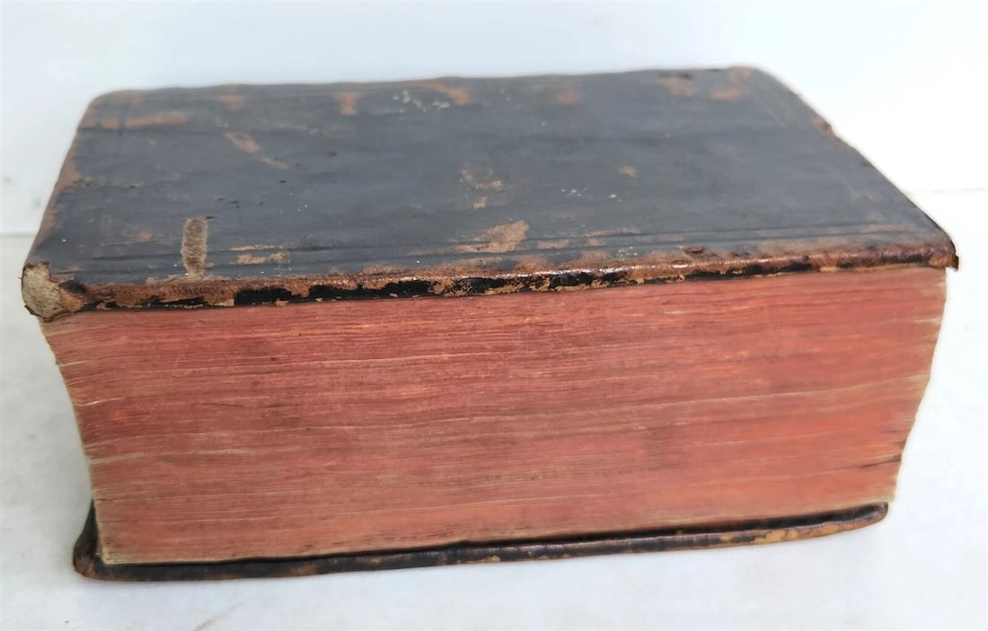 1563 BIBLE in LATIN antique ILLUSTRATED 16th century BIBLIA - 20