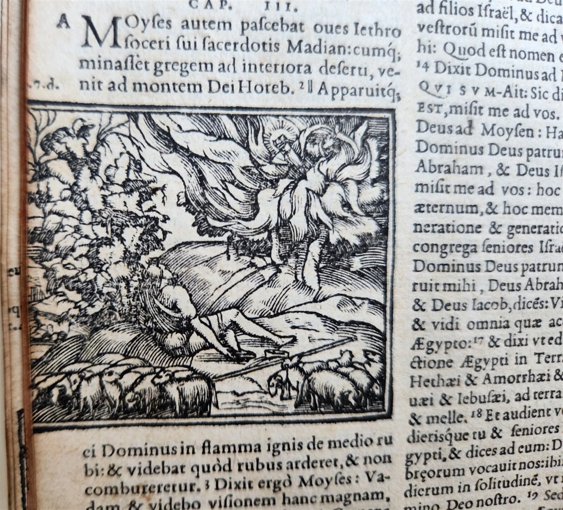 1563 BIBLE in LATIN antique ILLUSTRATED 16th century BIBLIA - 9
