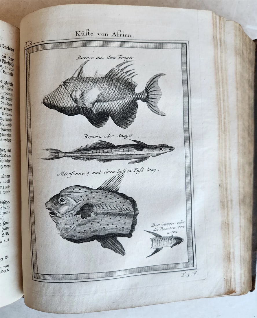 1748 HISTORY of TRAVELS Guinea Benin & Sierra Leone antique ILLUSTRATED - 16