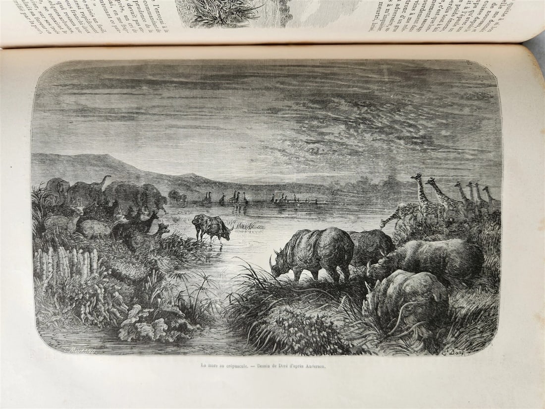 1860 HISTORY VOYAGES ILLUSTRATED antique AFRICA JAPAN USA NORTH POLE CAUCASUS - 7