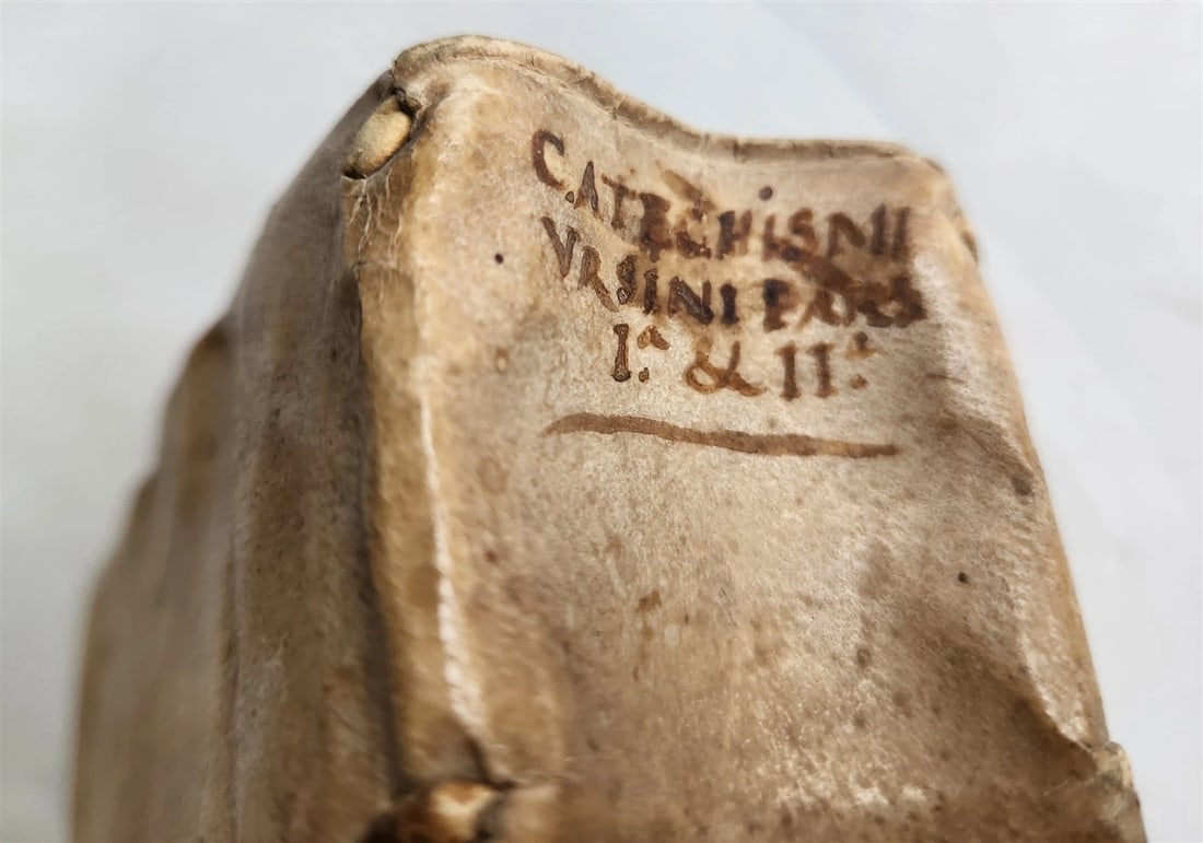 1593 PROTESTANT THEOLOGY by ZACHARIAE URSINI antique vellum 16th CENTURY - 4