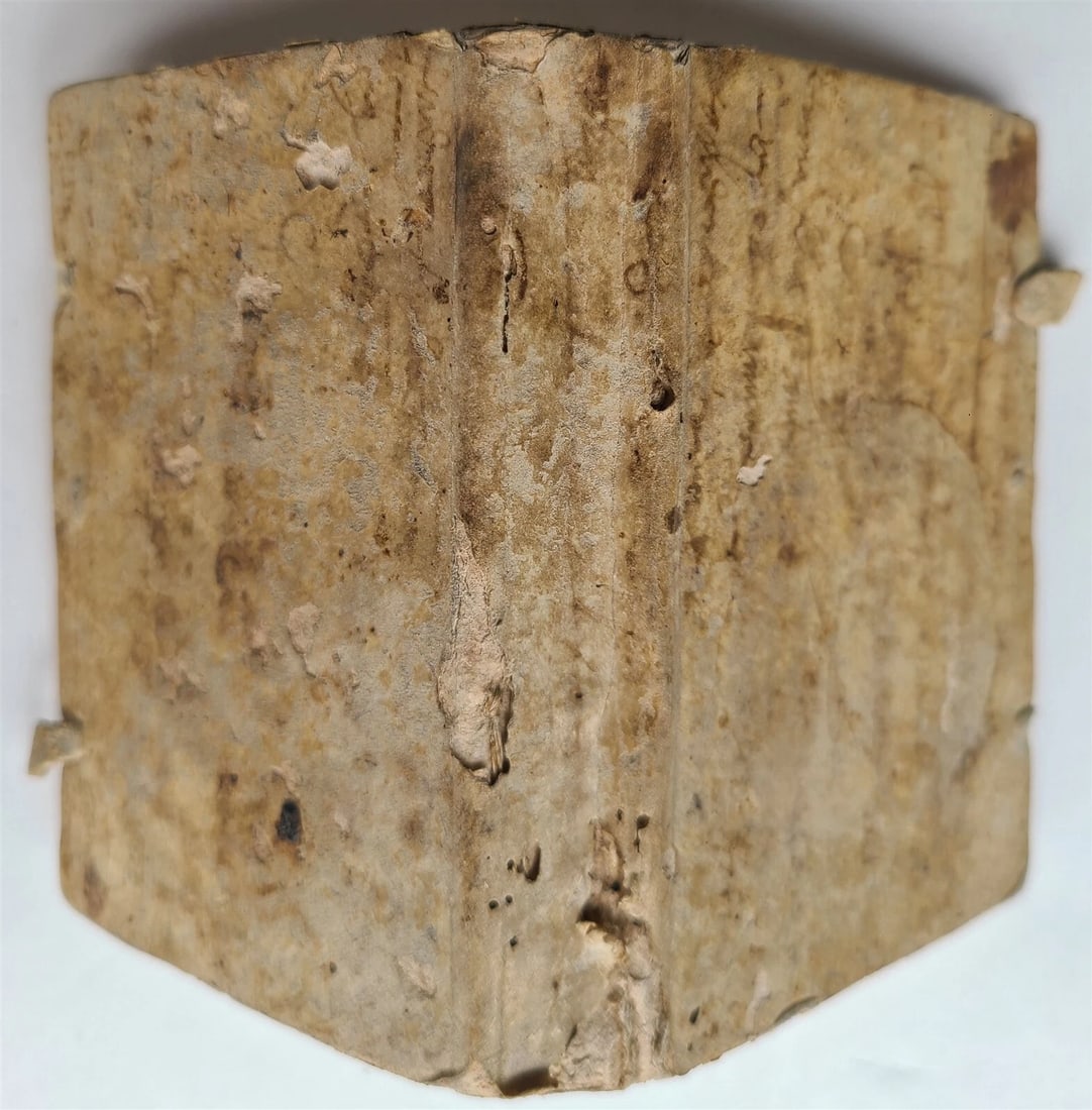 1548 THEOLOGY by Jerome Sirino antique in ITALIAN vellum binding - 2