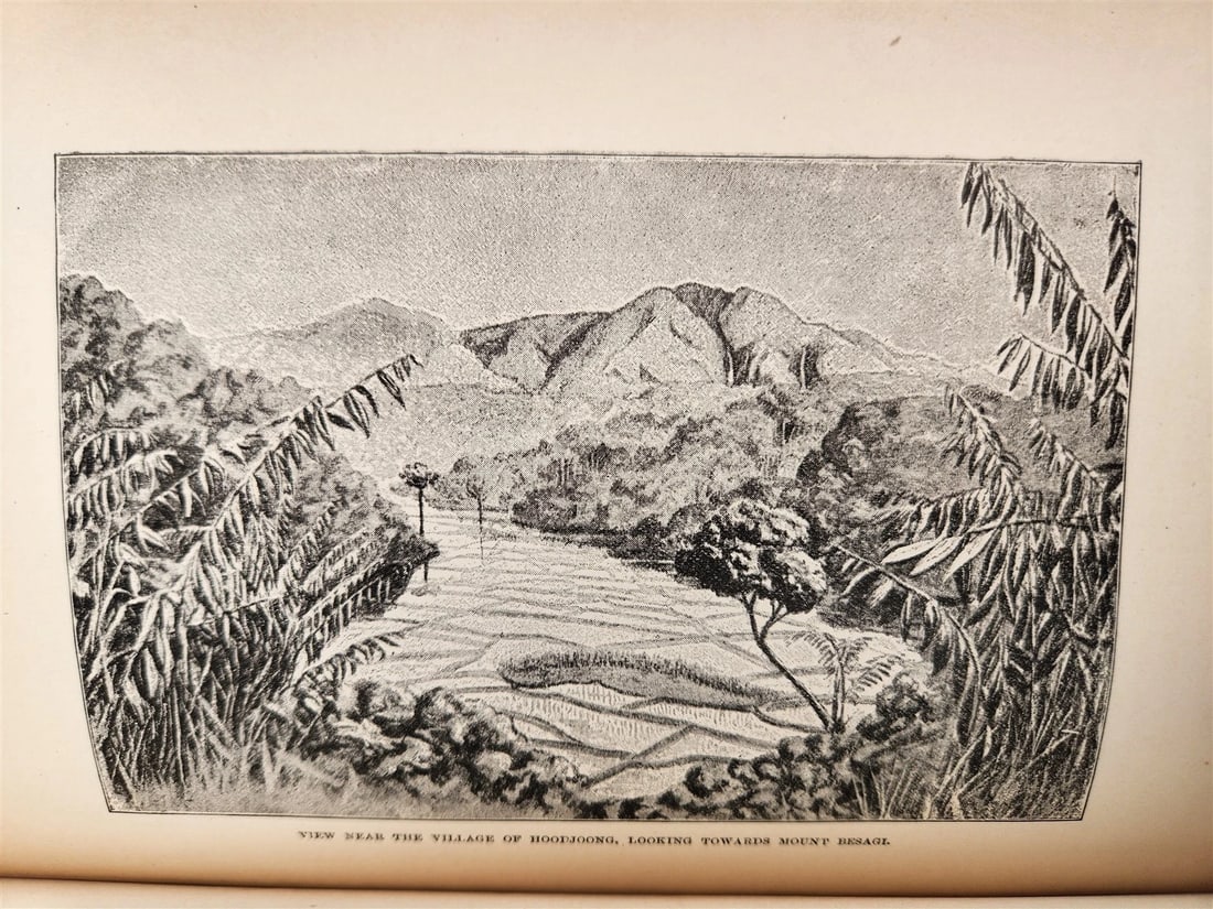 1885 Naturalist's Wanderings in the Eastern Archipelago antique Java Sumatra - 18