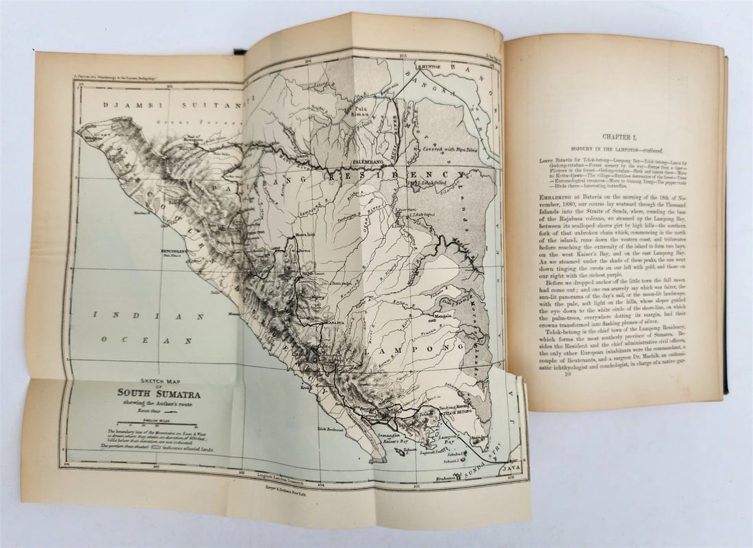1885 Naturalist's Wanderings in the Eastern Archipelago antique Java Sumatra - 20