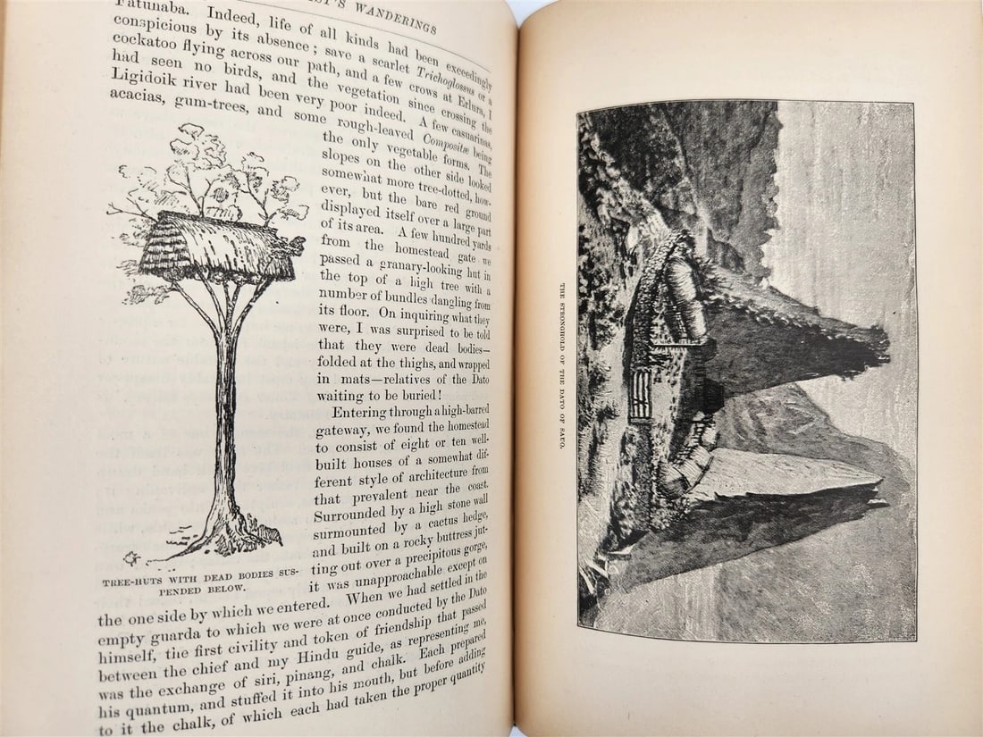 1885 Naturalist's Wanderings in the Eastern Archipelago antique Java Sumatra - 9