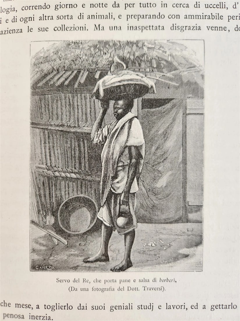 1885 TRAVELS in ETHIOPIA AFRICA in ITALIAN 6 FOLIO VOLUMES antique ILLUSTRATED - 17