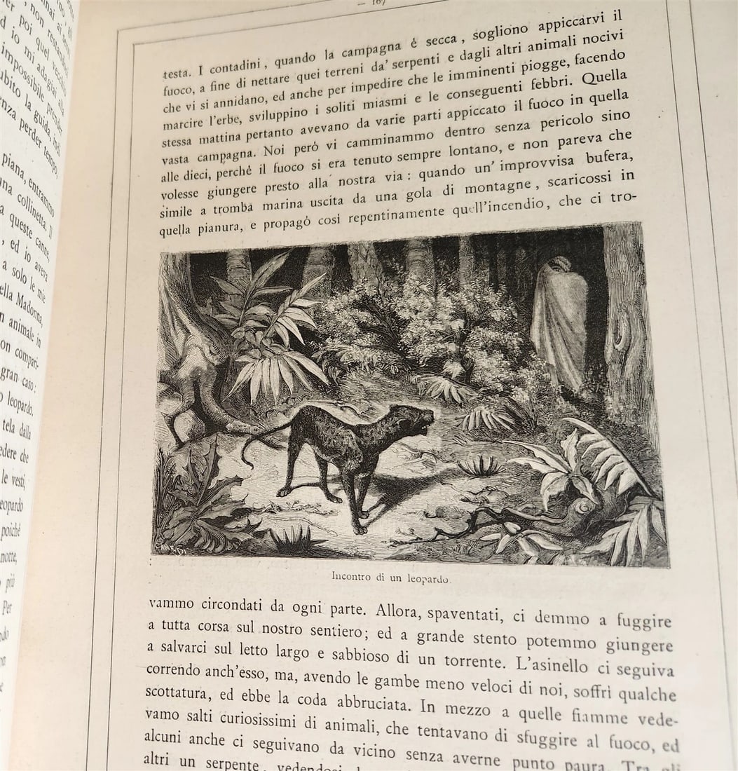 1885 TRAVELS in ETHIOPIA AFRICA in ITALIAN 6 FOLIO VOLUMES antique ILLUSTRATED - 4