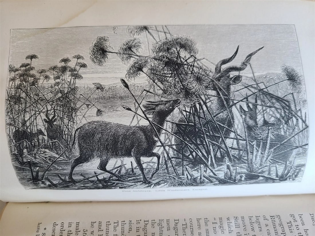 1863 JOURNAL of DISCOVERY of SOURCE of NILE antique ILLUSTRATED in ENGLISH - 14