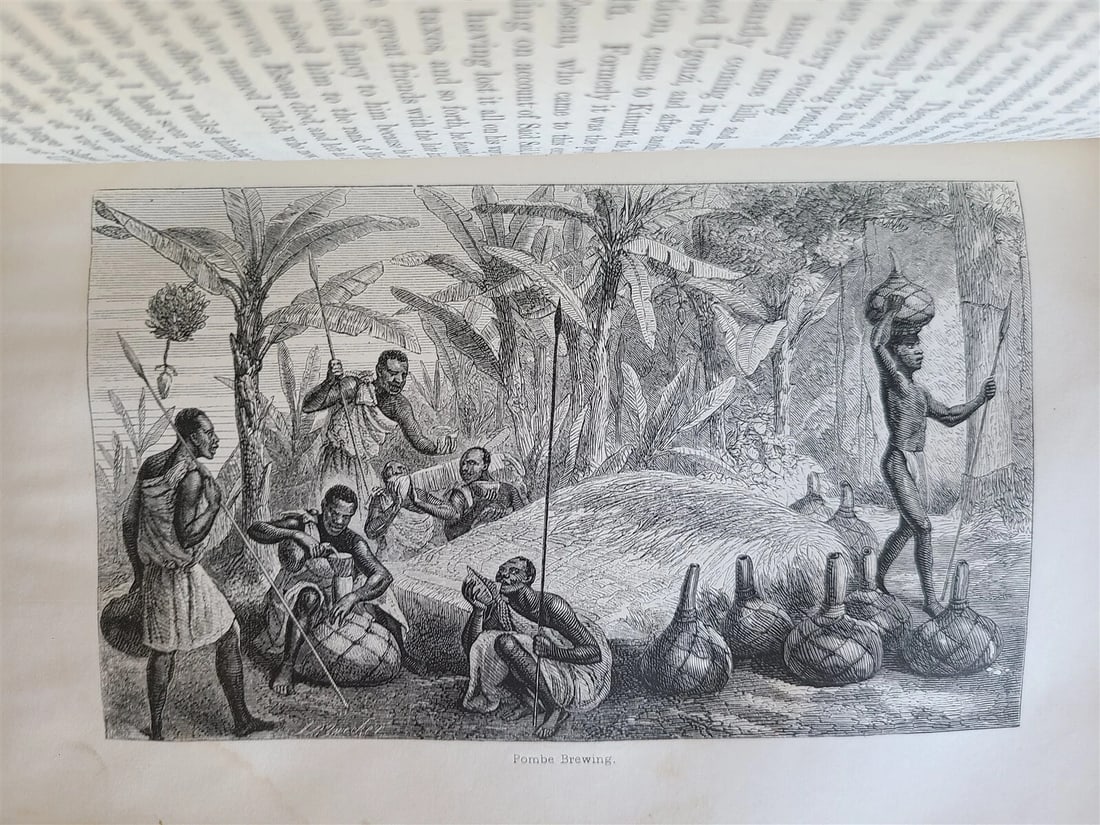 1863 JOURNAL of DISCOVERY of SOURCE of NILE antique ILLUSTRATED in ENGLISH - 19