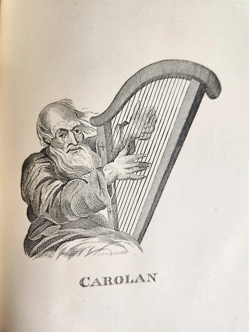 1887 POETRY AND SONG OF IRELAND illustrated ANTIQUE in ENGLISH - 16
