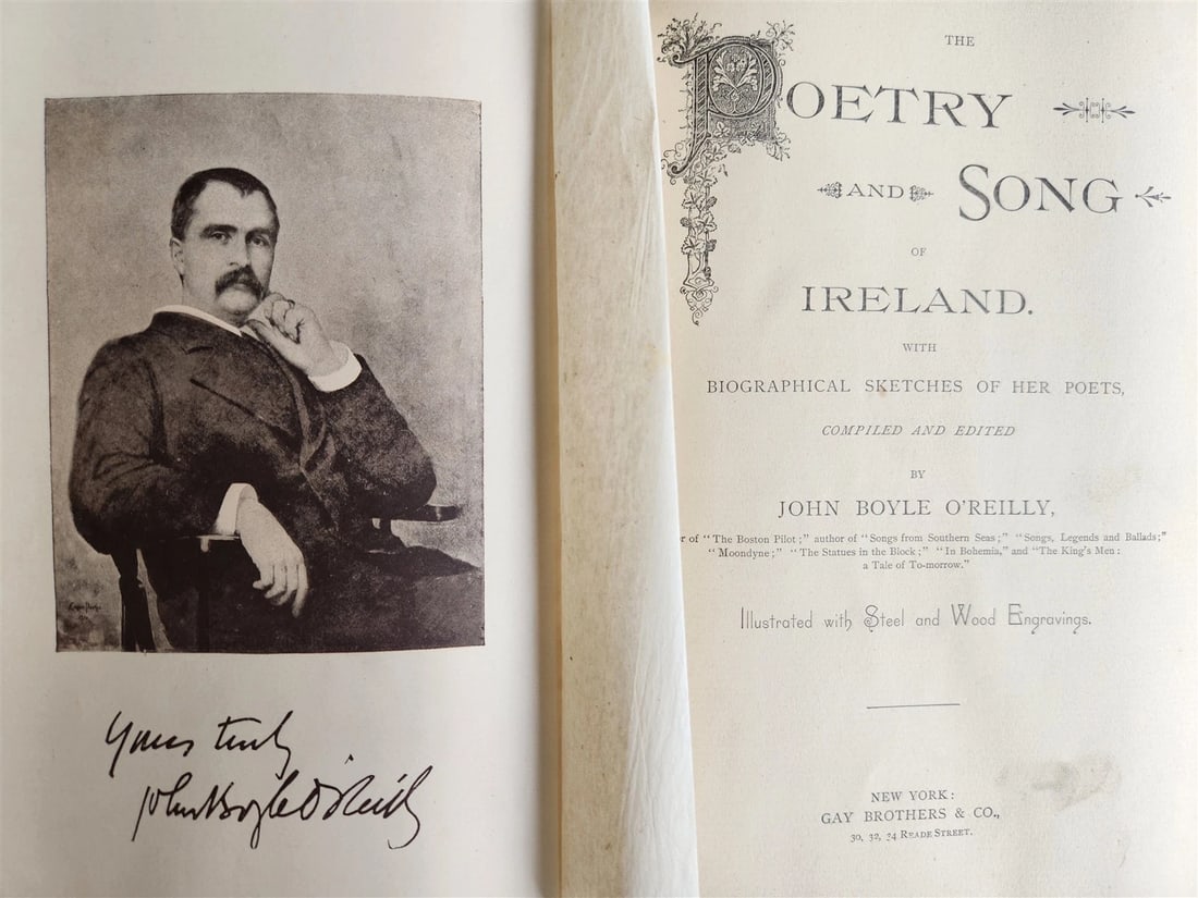 1887 POETRY AND SONG OF IRELAND illustrated ANTIQUE in ENGLISH - 2