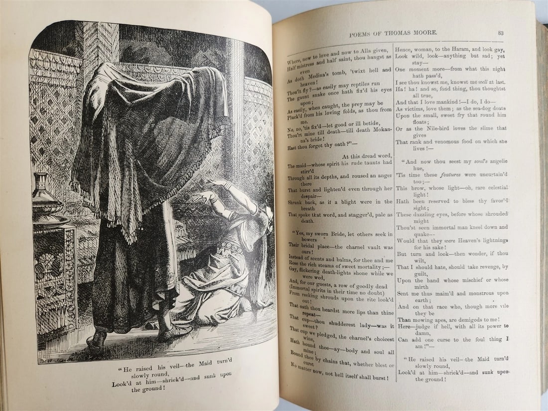 1887 POETRY AND SONG OF IRELAND illustrated ANTIQUE in ENGLISH - 8