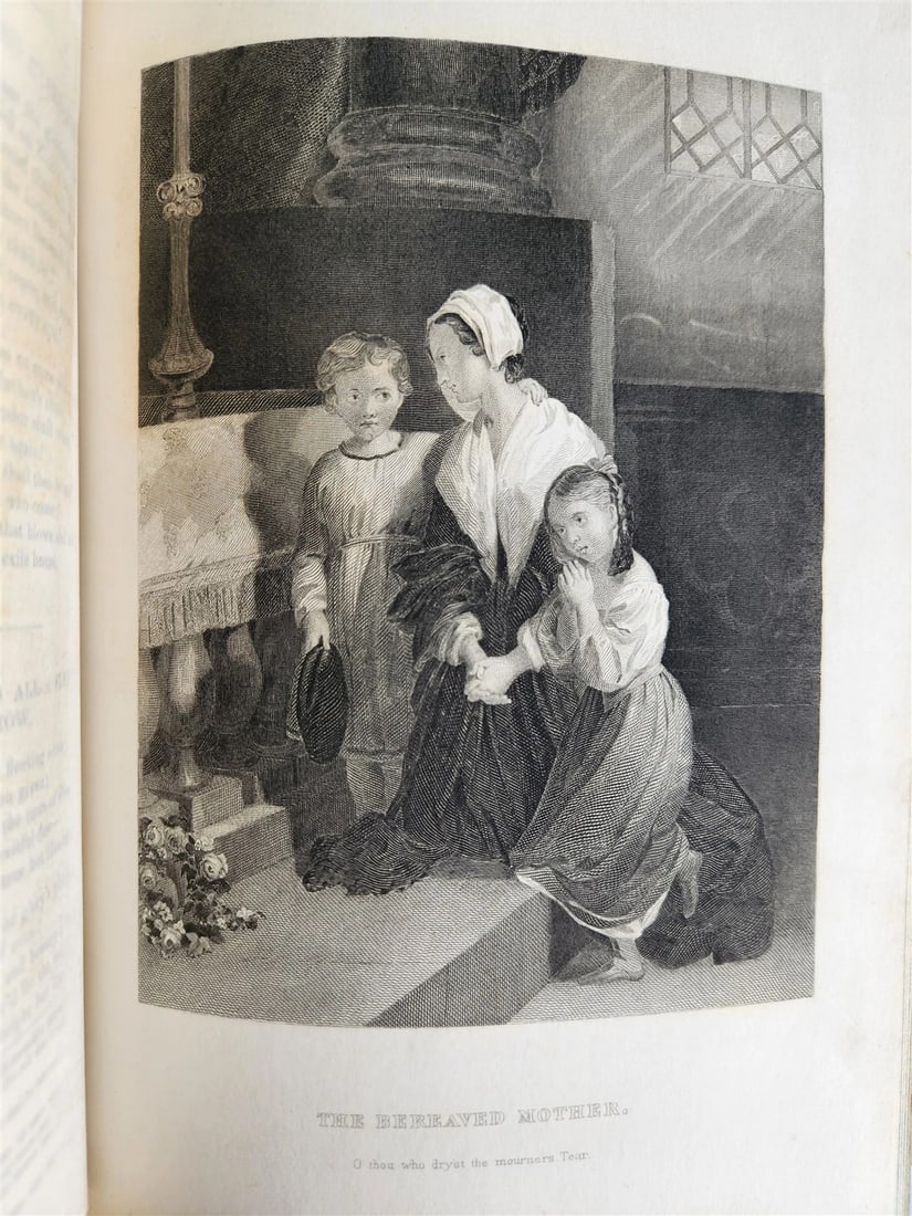 1887 POETRY AND SONG OF IRELAND illustrated ANTIQUE in ENGLISH - 9