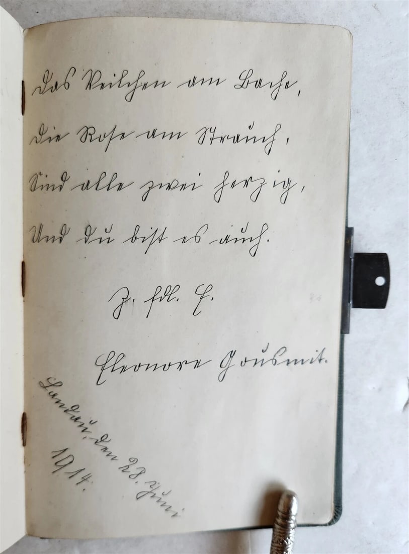 1855 ALBUM AMICORUM - MANUSCRIPT POETRY GERMAN BOOK antique ILLUSTRATED Landau - 10