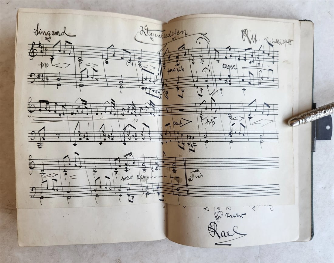 1855 ALBUM AMICORUM - MANUSCRIPT POETRY GERMAN BOOK antique ILLUSTRATED Landau - 14