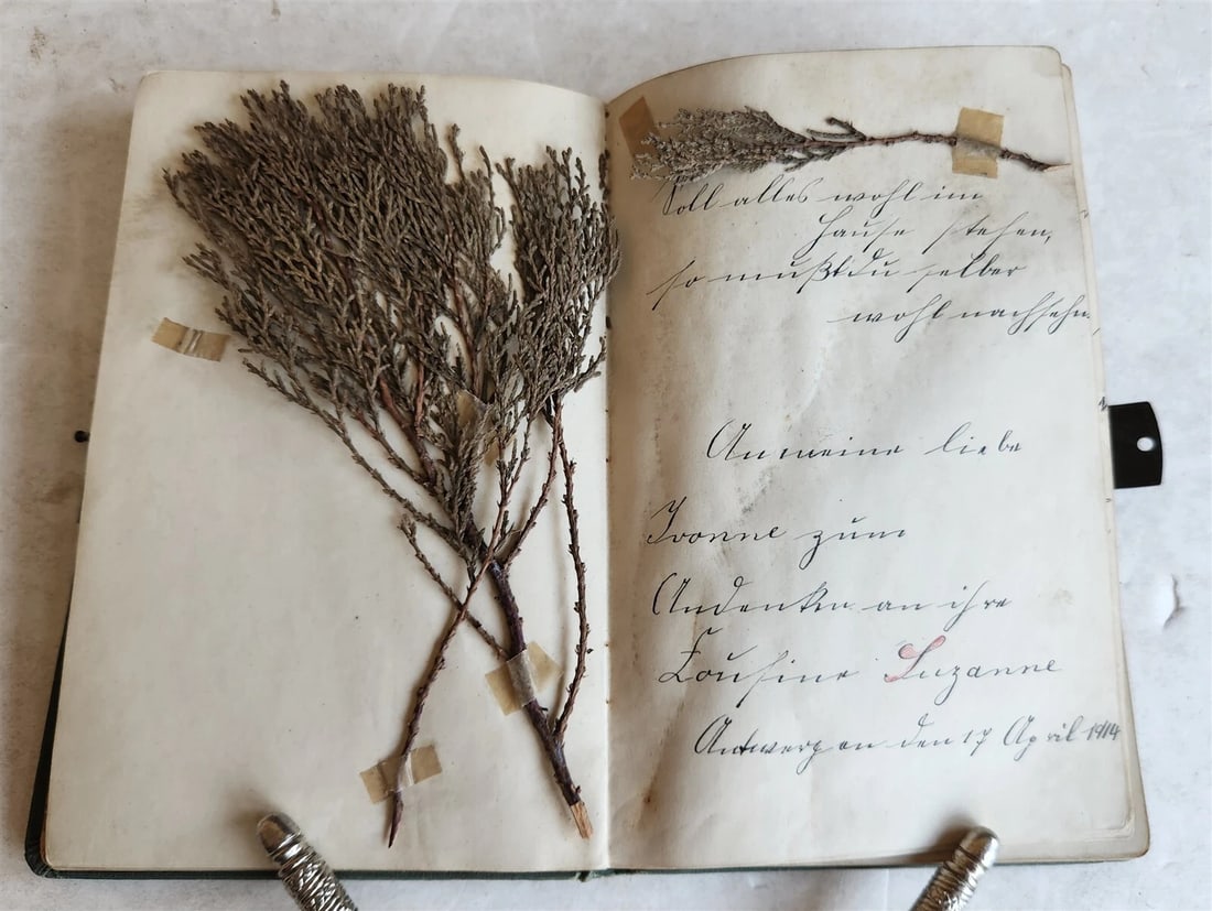 1855 ALBUM AMICORUM - MANUSCRIPT POETRY GERMAN BOOK antique ILLUSTRATED Landau - 4