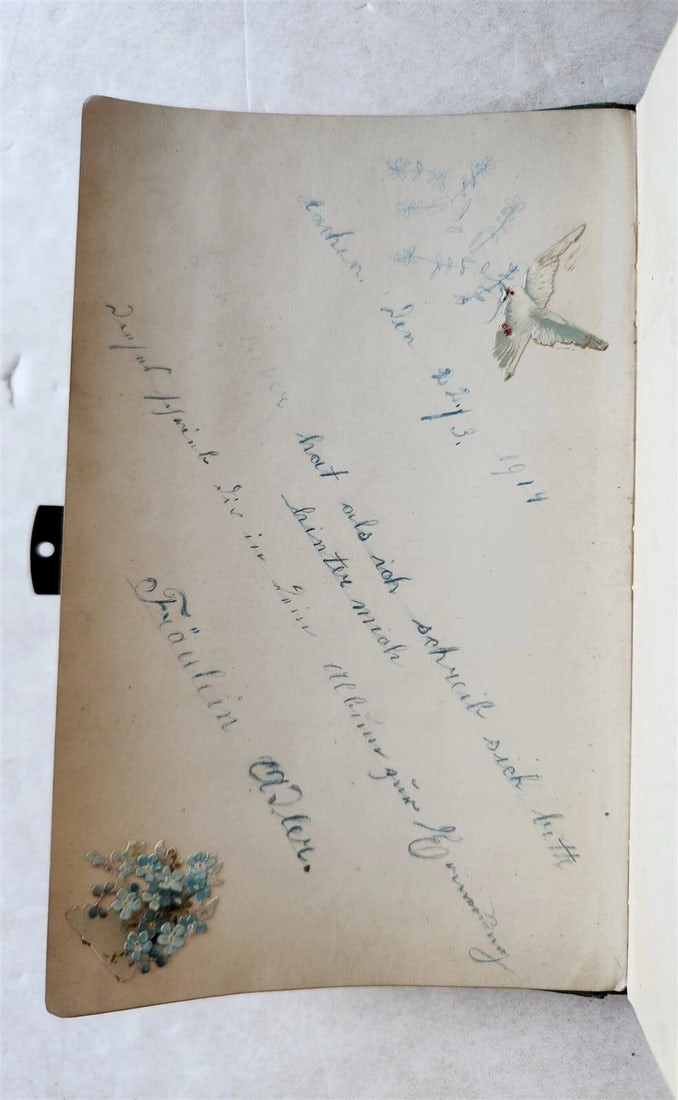 1855 ALBUM AMICORUM - MANUSCRIPT POETRY GERMAN BOOK antique ILLUSTRATED Landau - 8