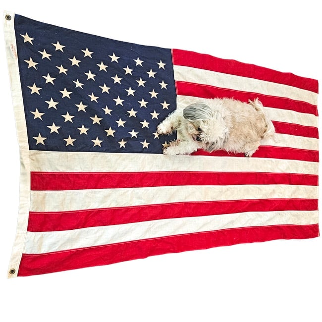 Vintage Valley Forge Flag Company 100% Cotton US Flag 3x5 FT - 2
