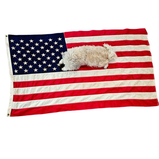 Vintage Valley Forge Flag Company 100% Cotton US Flag 3x5 FT - 4