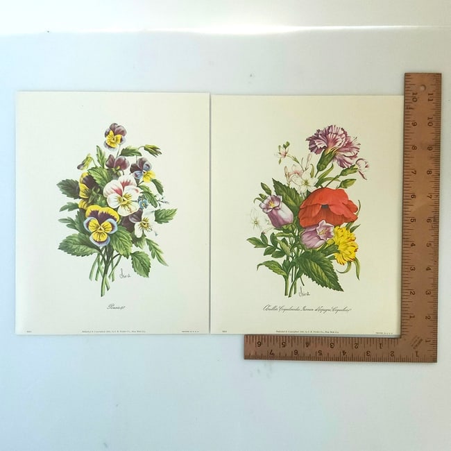 Chirat Florals Set of 6 Lithographic Prints in Original Portfolio circa 1940 - 4