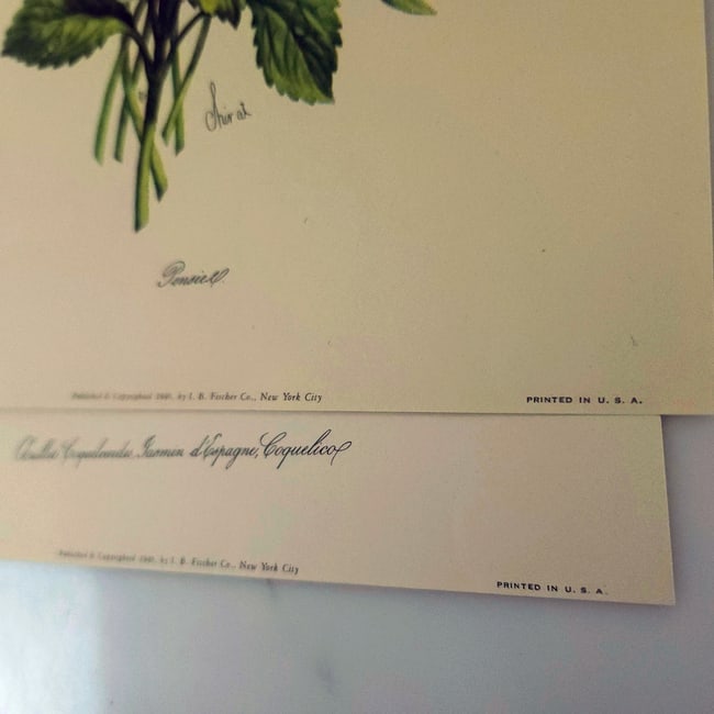 Chirat Florals Set of 6 Lithographic Prints in Original Portfolio circa 1940 - 6