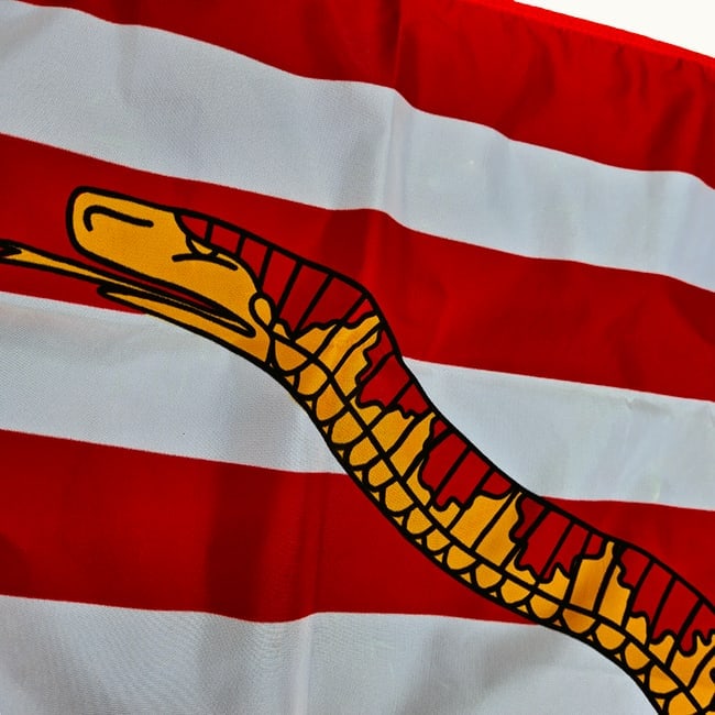 Historical First Navy Jack Flag "Don't Tread on Me". - 4
