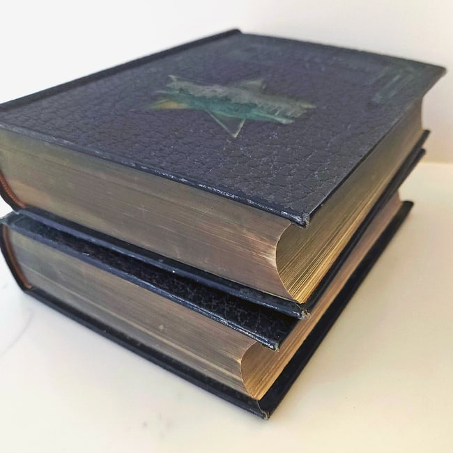 1922 1st Edition "The New Encyclopedia of Texas" Texas Historical Society Two volume set - 16