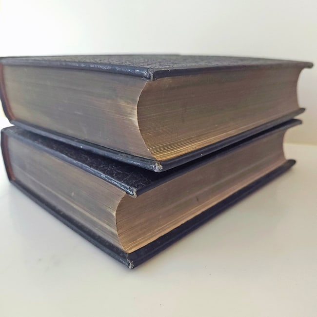 1922 1st Edition "The New Encyclopedia of Texas" Texas Historical Society Two volume set - 17