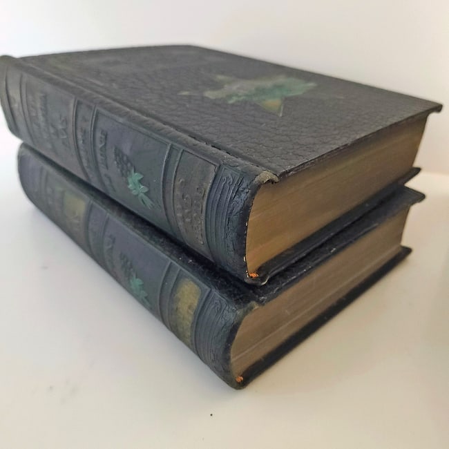 1922 1st Edition "The New Encyclopedia of Texas" Texas Historical Society Two volume set - 18