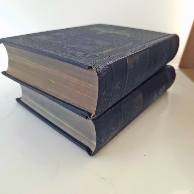 1922 1st Edition "The New Encyclopedia of Texas" Texas Historical Society Two volume set - 19