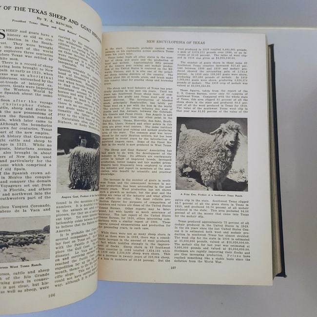 1922 1st Edition "The New Encyclopedia of Texas" Texas Historical Society Two volume set - 7