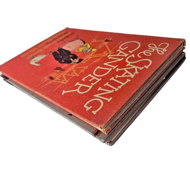 The Chatterlings in Wordland & The Skating Gander Vintage Children's Books - 15