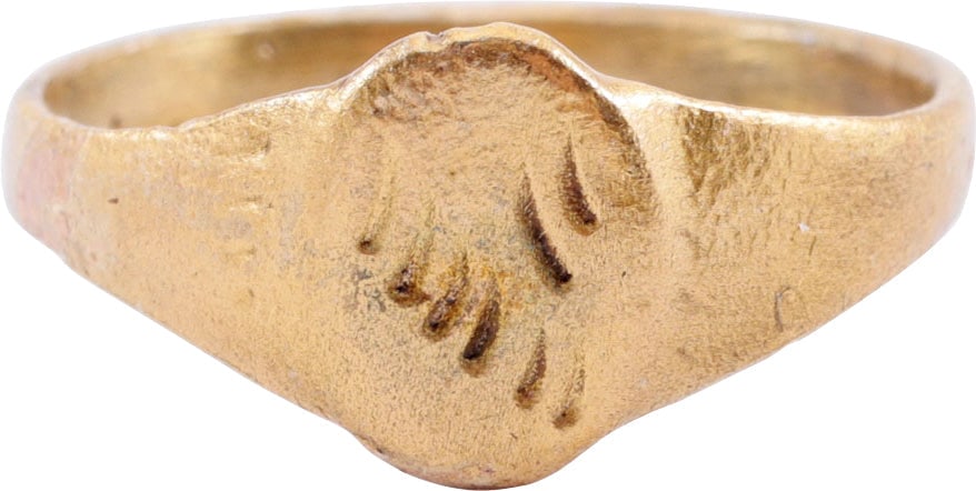 LATE MEDIEVAL WOMAN'S FASHION RING, SIZE 6: 15th-16th century AD. Women's, a little over size 6. 2.1mm width band with a rounded face, flared to the shoulders. Raised lenticular bezel engraved with stylized foliate spray, transversely oriented.