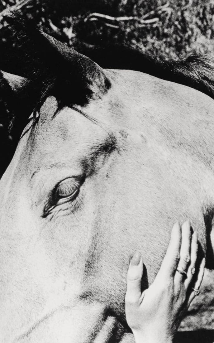 RALPH GIBSON - Quadrants, Horse: Artist: RALPH GIBSON Print Title: Quadrants Medium: Sheet-fed Gravure Printing date: 1970's Printed in England Image Size: 10.5 X 6.5 inches Ralph Gibson (1960–1962) was an American art