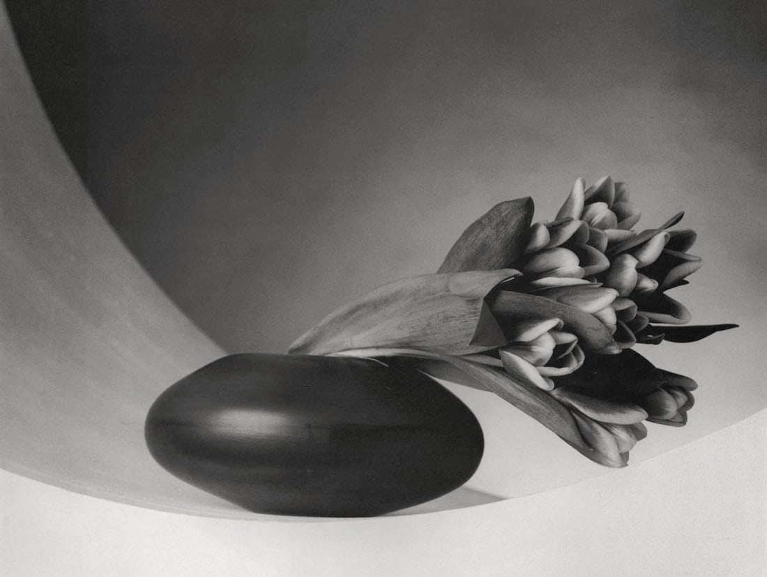 MAPPLETHORPE - Tulips,1987: Artist: MAPPLETHORPE Print Title: Tulips,1987 Medium:Photo-lithograph Printed 1990s in Italy Image size (inches) approx. 8 x 10” Robert Mapplethorpe was an American photographer, known for his s