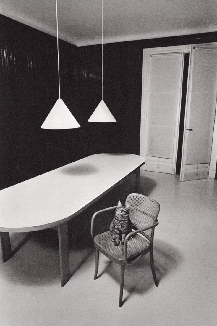 JEANLOUP SIEFF - (Cat on Chair) Chat Solitaire, Paris, 1973: Artist: JEANLOUP SIEFF Print Title: Chat Solitaire, Paris, 1973 Medium: Sheet-Fed Gravure Printing Date: 1980's Printed in France Image Size approx: 9 x 6 inches Jeanloup Sieff (1933-2000) was a Frenc