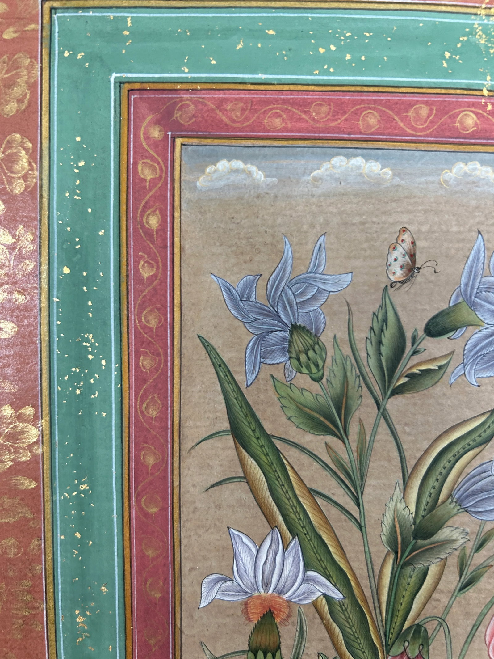 Vintage Indian Botanical in Mughal Border Painting With Gold Leaf - 6