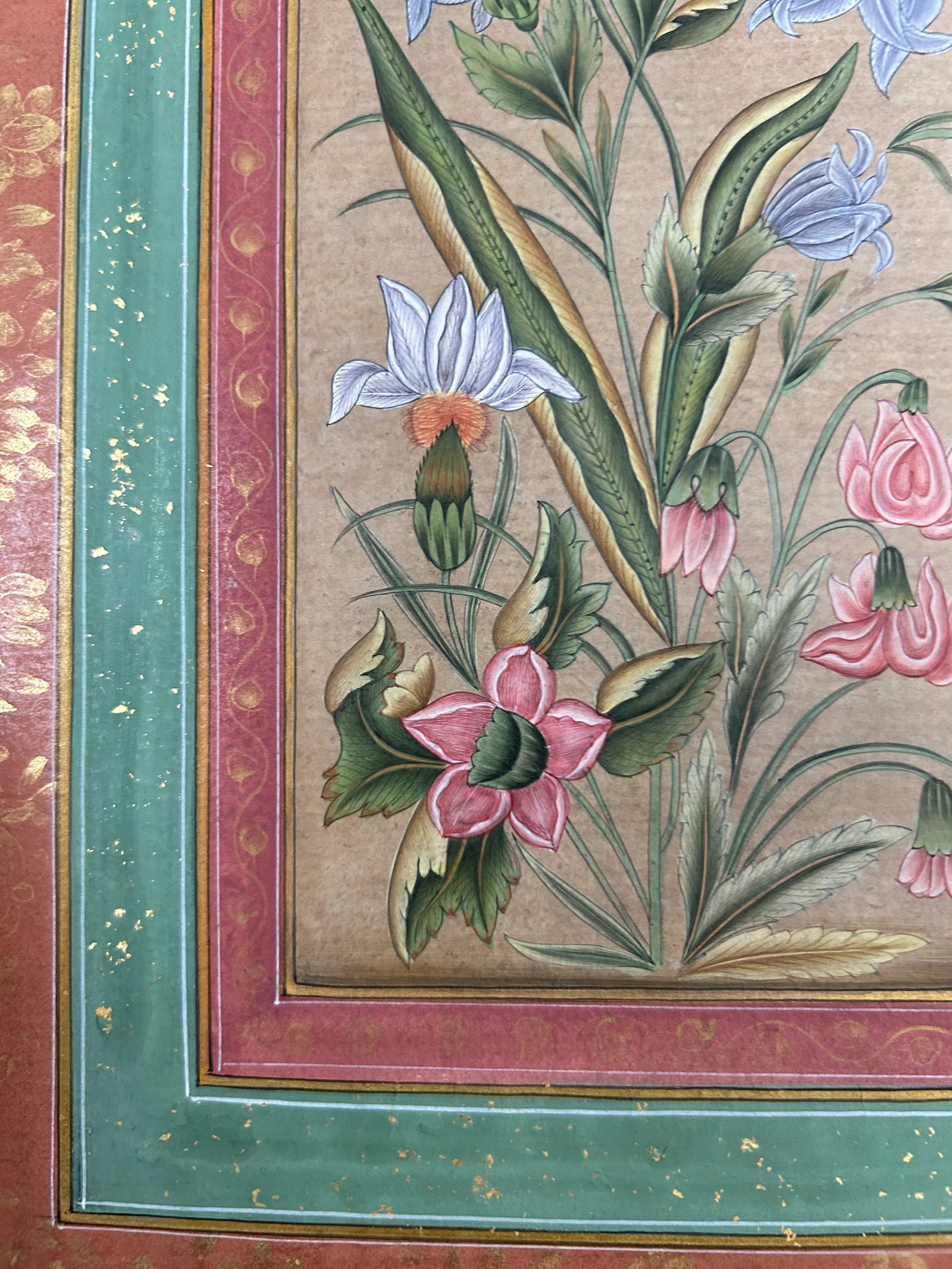 Vintage Indian Botanical in Mughal Border Painting With Gold Leaf - 8