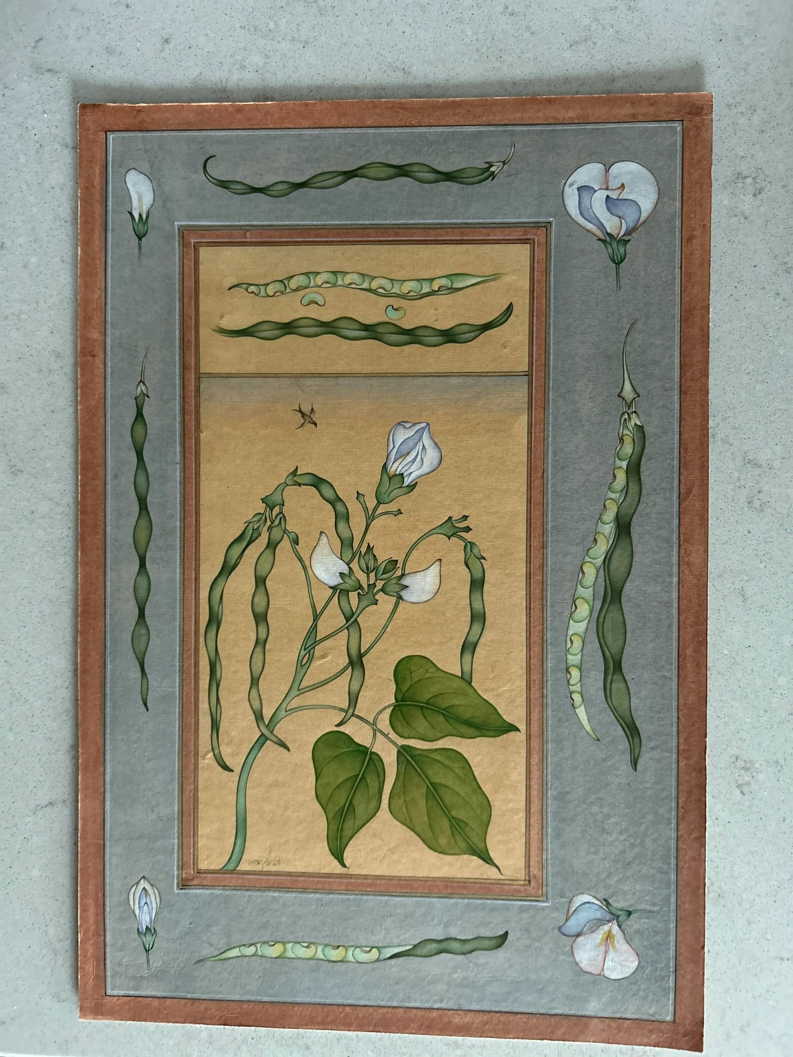 Mid 20th Century Vintage Indian Hand Painted Mughal Flower Painting of Pea Flower Plant - 10