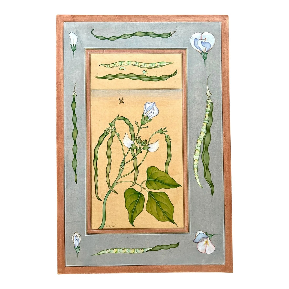 Mid 20th Century Vintage Indian Hand Painted Mughal Flower Painting of Pea Flower Plant: Vintage Indian hand painted Mughal flower painting of pea flower plant. This art work is taken from the stone -inlay work of Mughal monuments . This painting is made on handmade Basali paper with