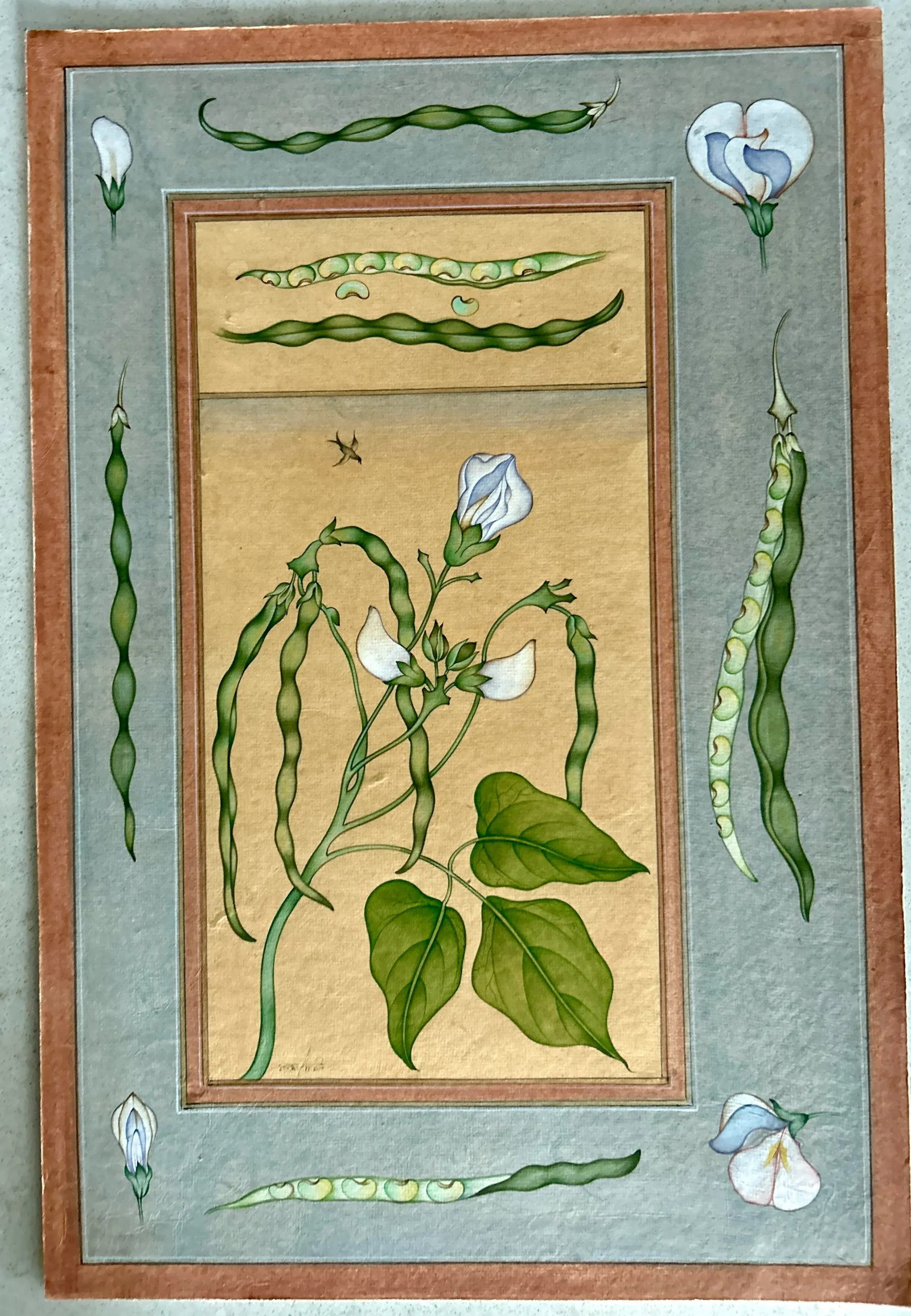 Mid 20th Century Vintage Indian Hand Painted Mughal Flower Painting of Pea Flower Plant - 4