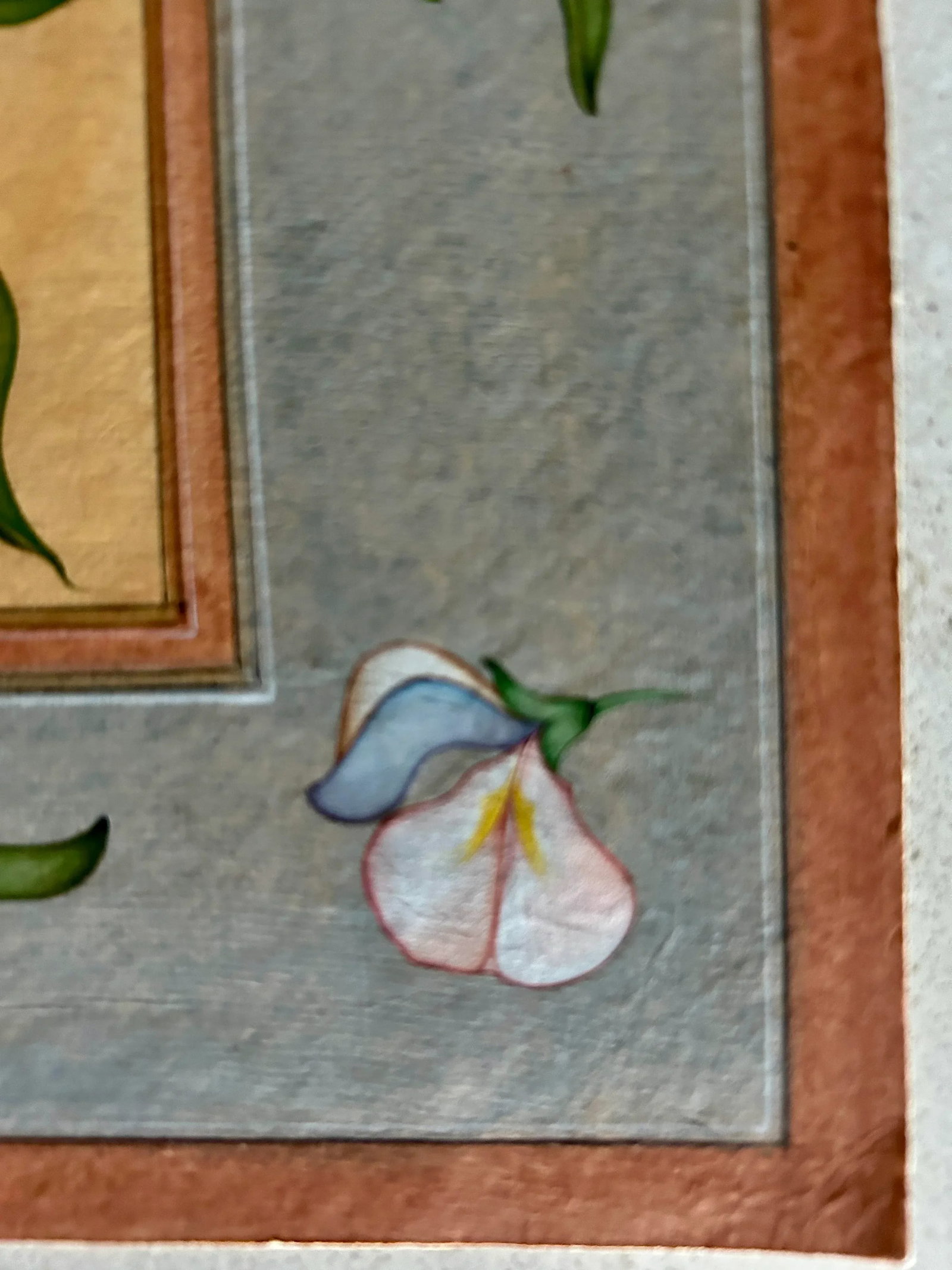 Mid 20th Century Vintage Indian Hand Painted Mughal Flower Painting of Pea Flower Plant - 6