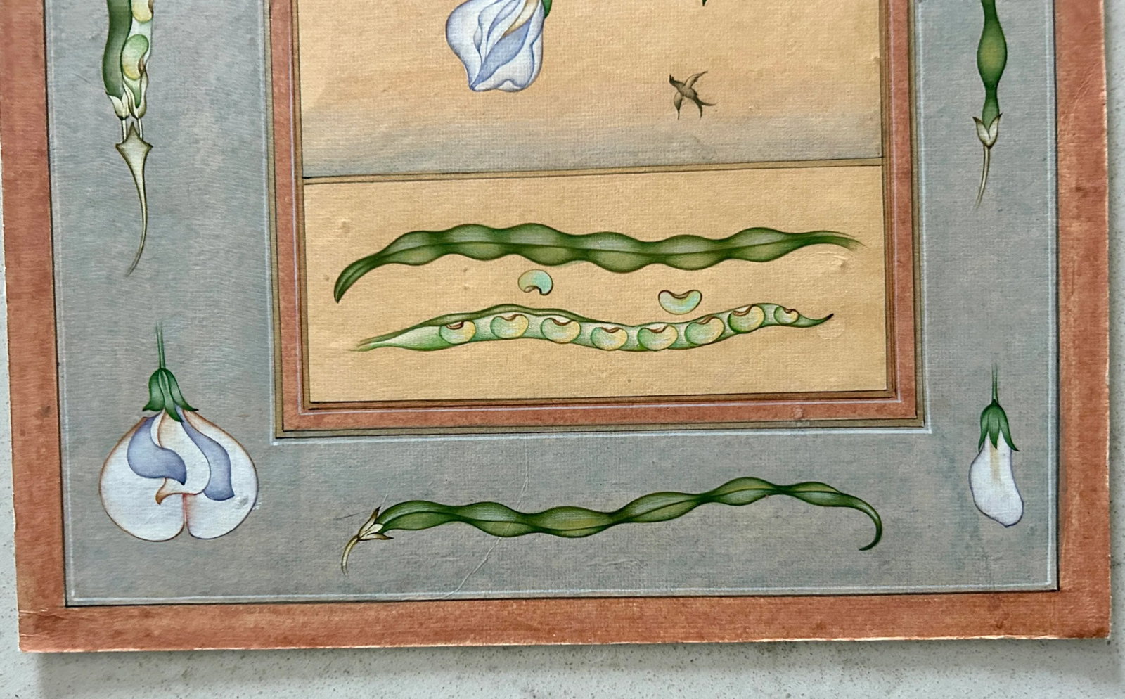 Mid 20th Century Vintage Indian Hand Painted Mughal Flower Painting of Pea Flower Plant - 7