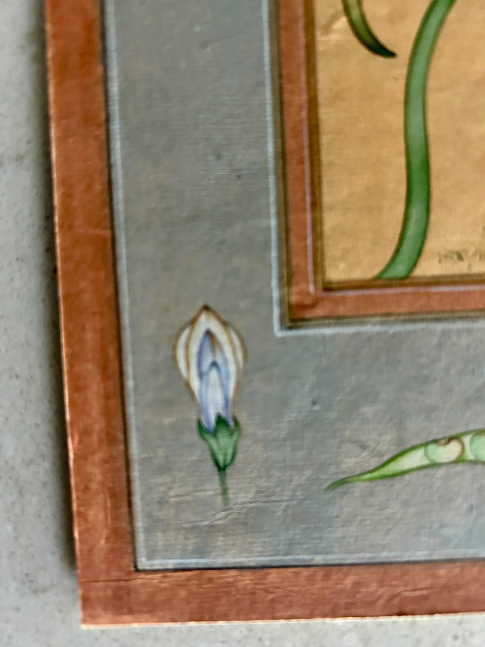 Mid 20th Century Vintage Indian Hand Painted Mughal Flower Painting of Pea Flower Plant - 9